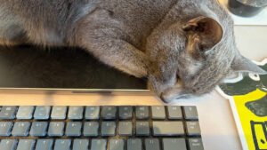 Raphael-sleeping-on-the-desk_Wesley