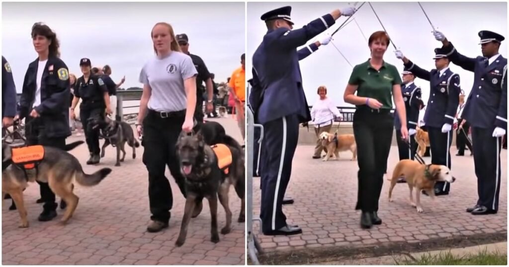911dogs1-1