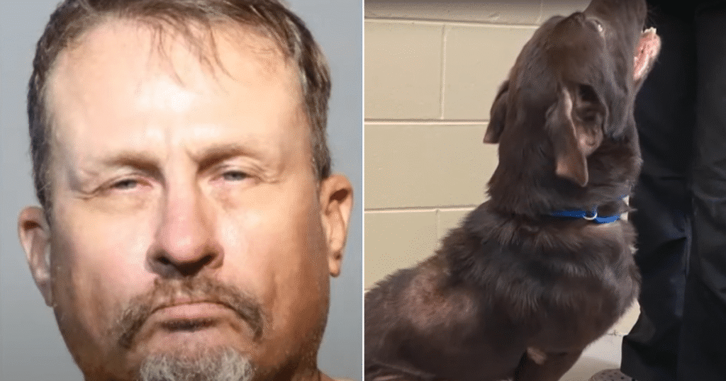 DogNeglectStoryFIN