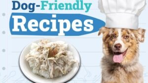Dogster_Dog-Friendly-Recipes