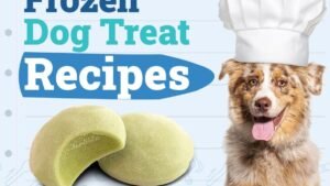 Dogster_Frozen-Dog-Treat-Recipes