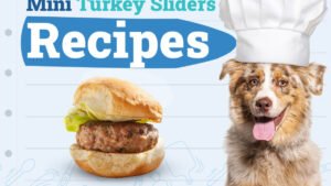 Dogster_Mini-Turkey-Sliders-Recipes_v1_Sep-11-2024