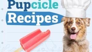 Dogster_Pupcicle-Recipes