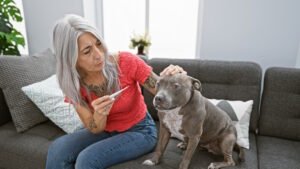 A,Grey-haired,Middle-aged,Woman,,At,Home,,Seriously,Concentrated,On,Measuring