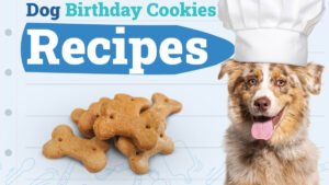 Dogster_Dog-Birthday-Cookie-Recipes