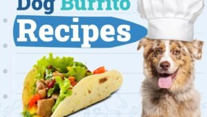 Dogster_Dog-Burrito-Recipes