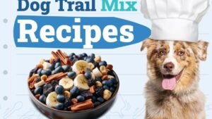 Dogster_Dog-Trail-Mix-Recipes