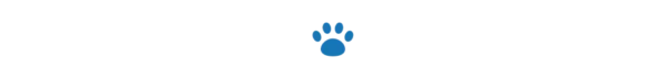 divider single dog paw oct 2024