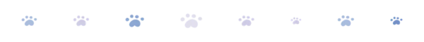 divider 3 paws