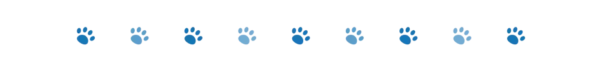 divider dog paws 2 oct 2024