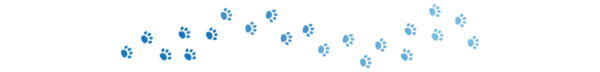 Dogster divider_v3_NEW_MAY_24_