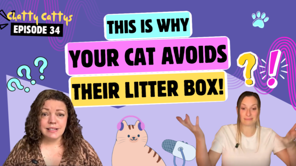 Uncovering Cat Behavior: Litter Box Secrets Revealed!