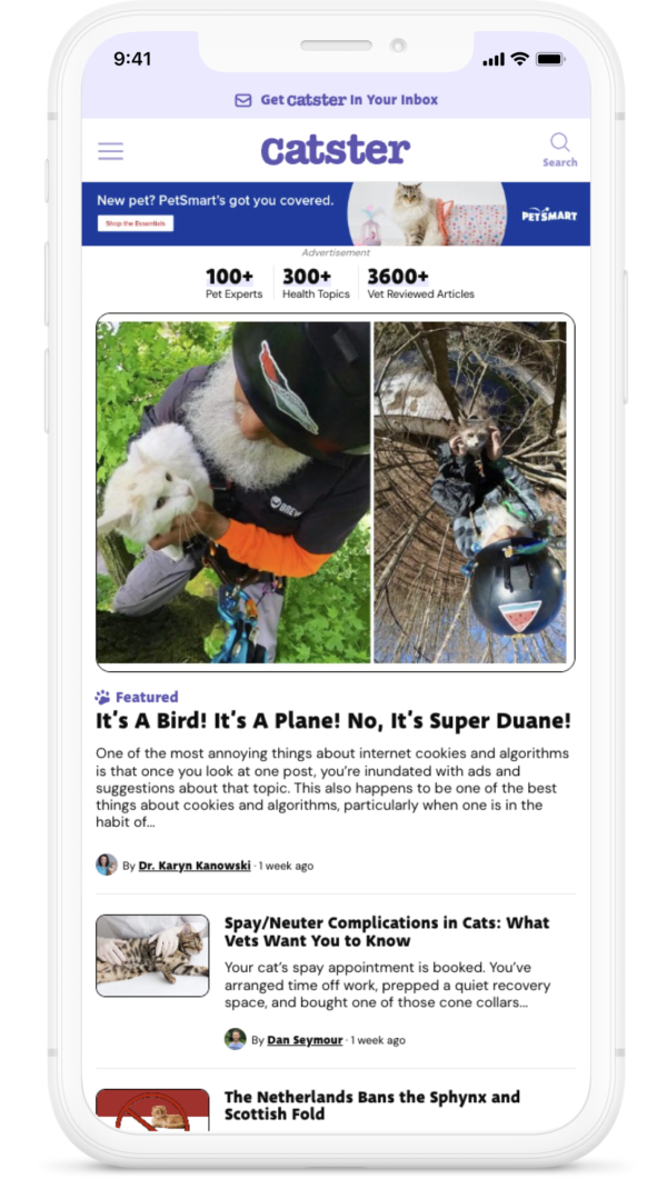 The Catster site on a phone